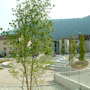 Dettagli